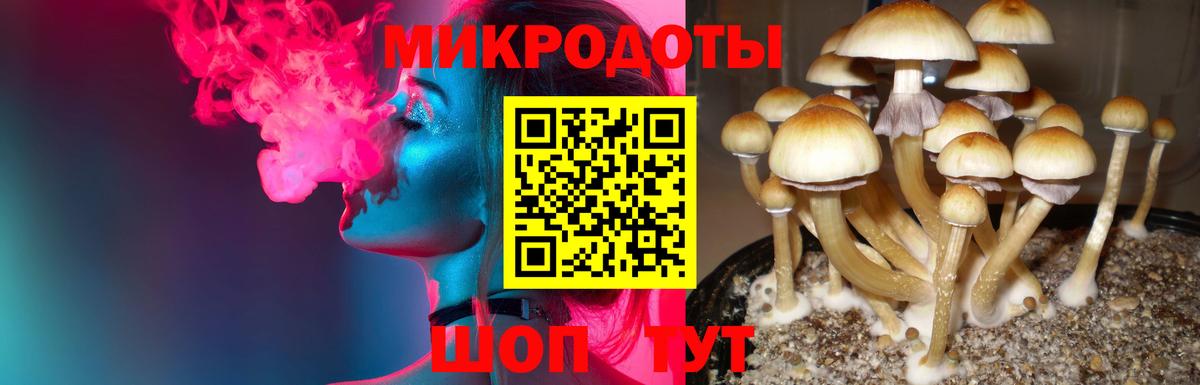 Псилоцибиновые грибы GOLDEN TEACHER  Вход с VPN  Сызрань 